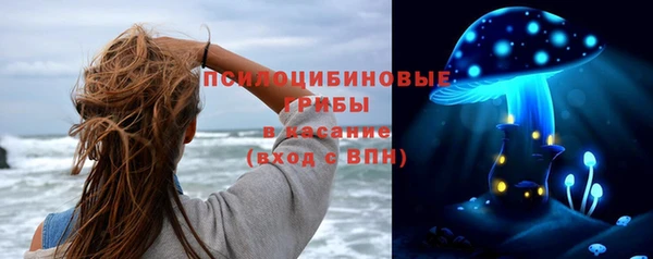 эйфоретик Михайлов