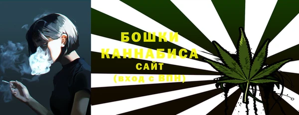 эйфоретик Михайлов