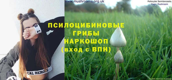 эйфоретик Михайлов