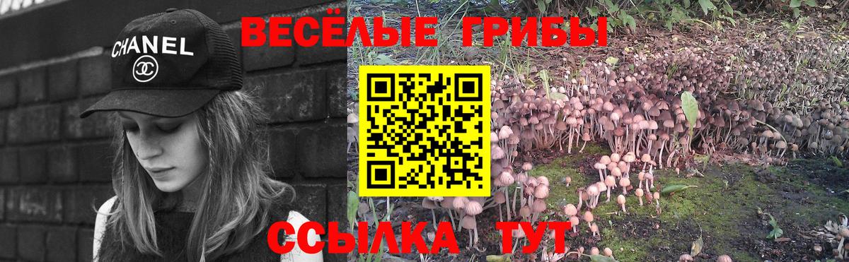 Галлюциногенные грибы Psilocybe  Вход с VPN  хочу наркоту  Сарапул 